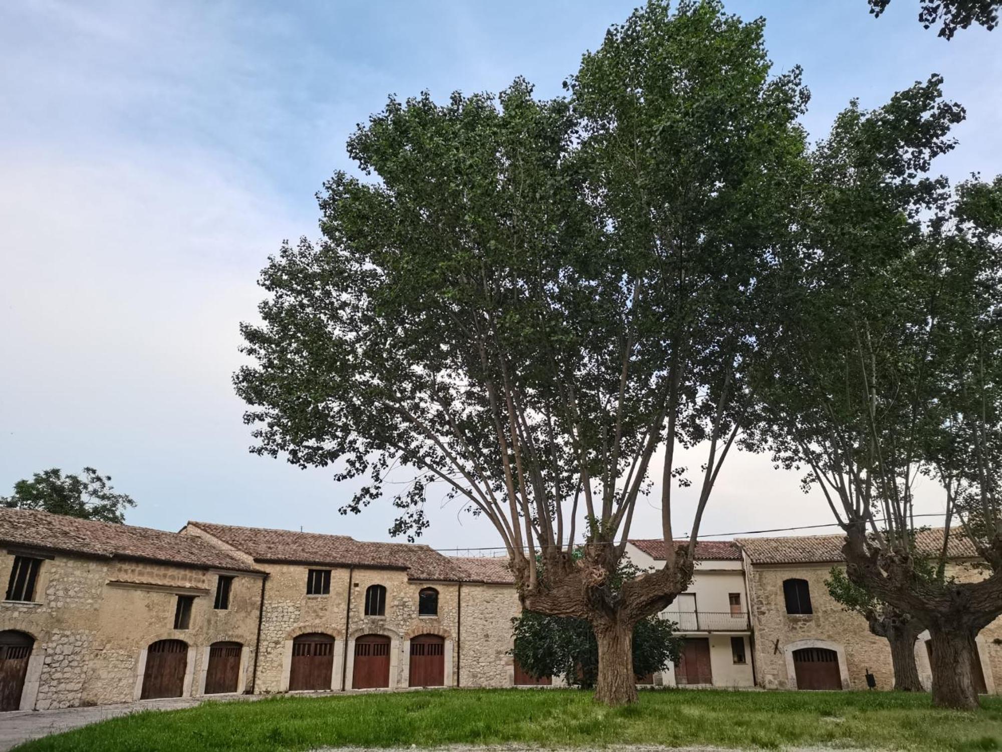 Domus Lineker Apartment Venafro Ngoại thất bức ảnh